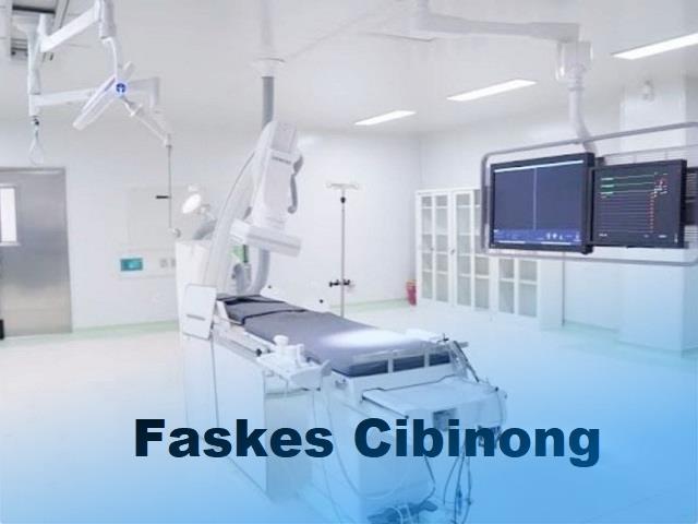 faskes cibinong