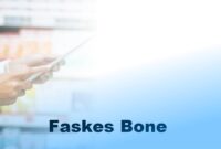 faskes bone