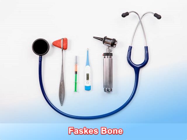 faskes bone