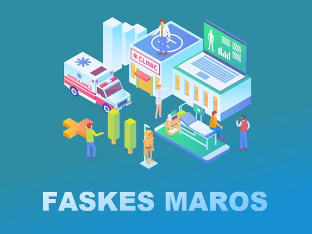 faskes maros