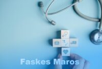 faskes maros