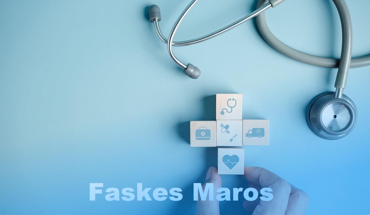 faskes maros